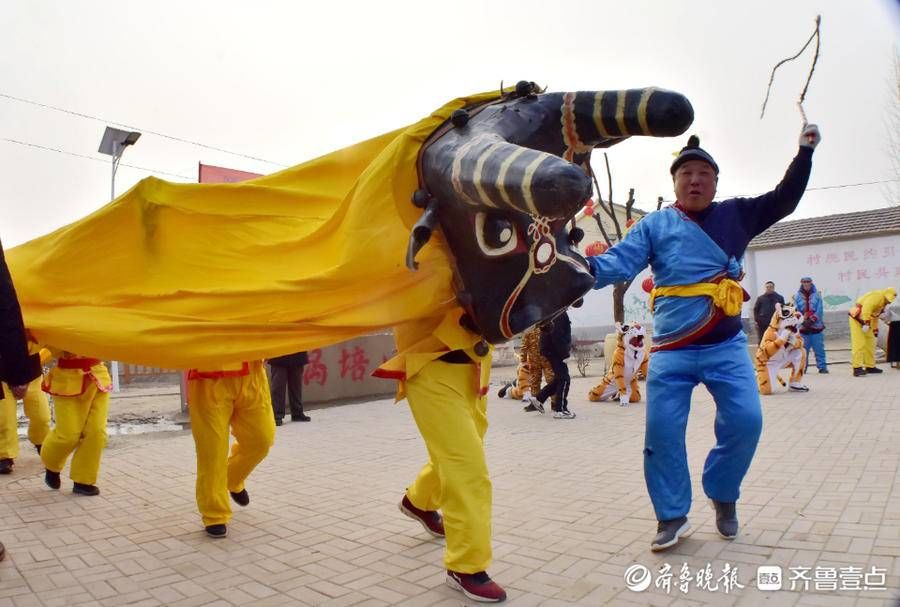 锣鼓点！德州非遗表演年味浓！牛虎争亮相，传承百年牛斗虎