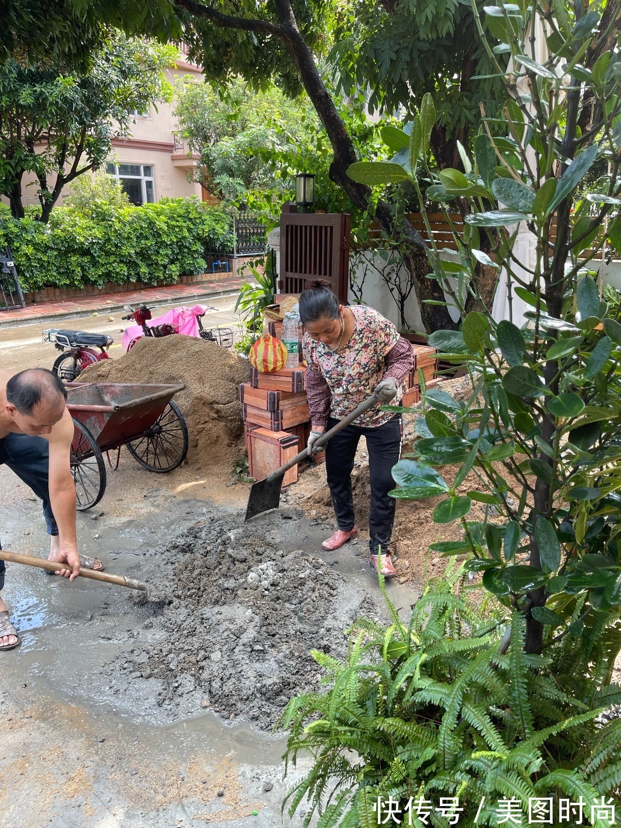预算8万,改造170㎡别墅“沙漠植物懒人花园”,太好看了