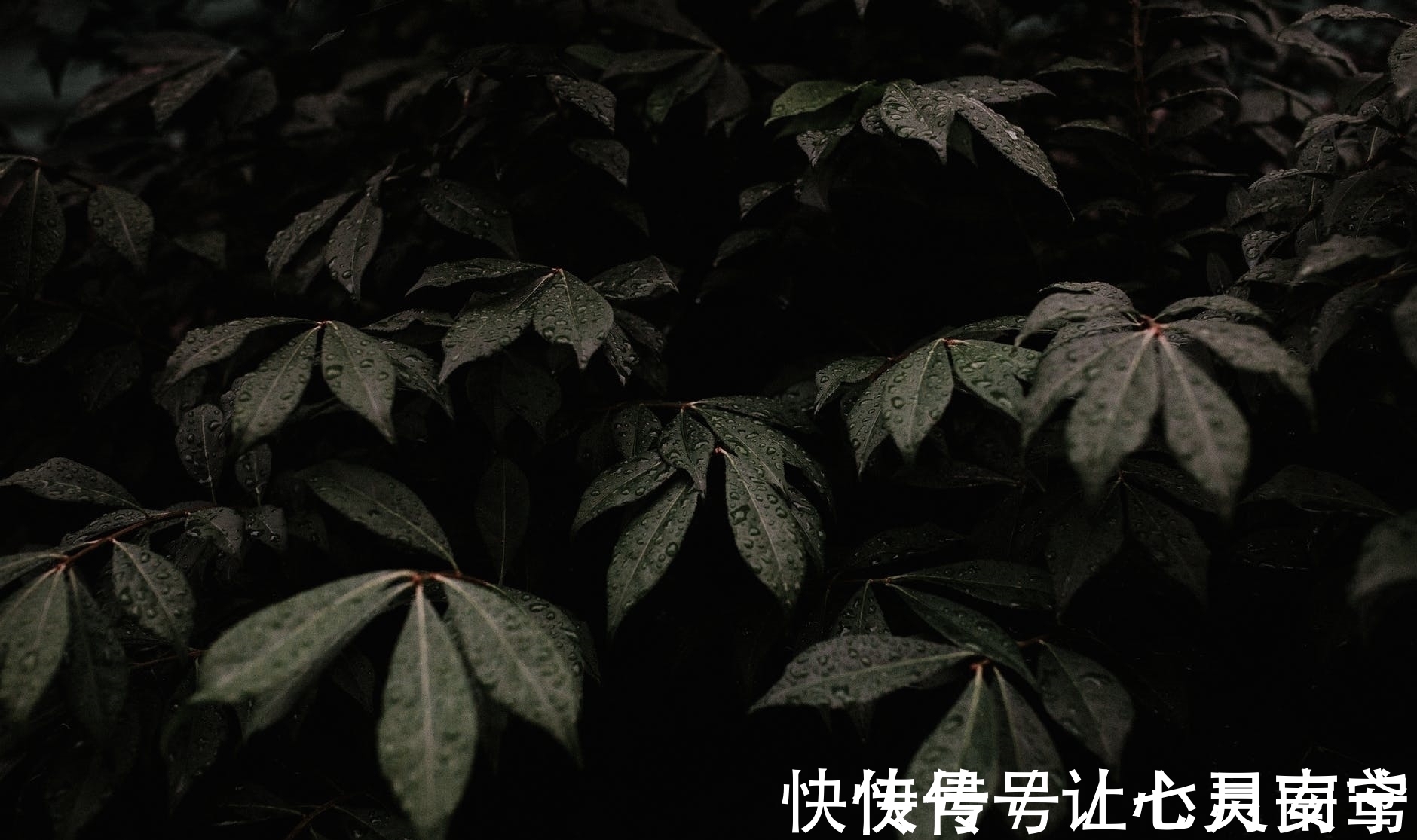 微雨#李商隐这首写雨的诗，没有一个雨字，却句句有雨