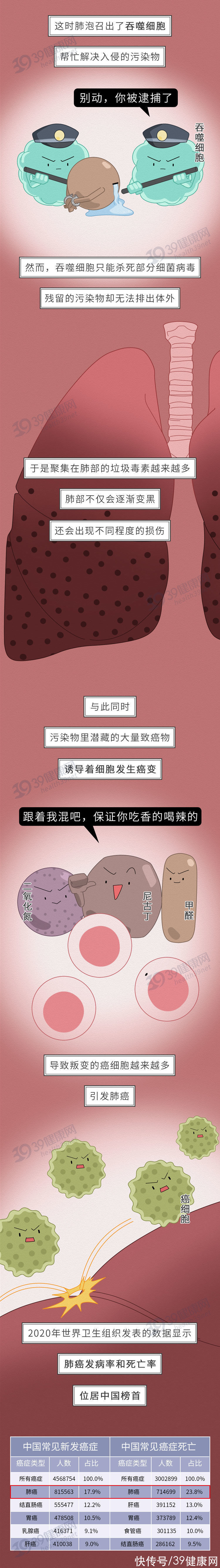 北京教育学院|中国人的肺，是如何一步步“坏”掉的？这些养肺的方法很科学