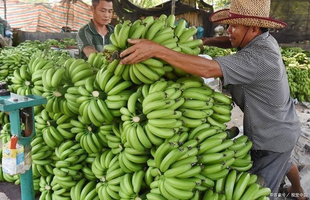 失眠|这5物虽普通,却是“天然安眠药”,是失眠克星,常吃睡眠更香甜