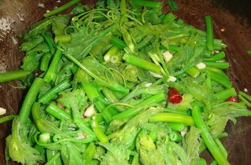 南瓜藤|好食物吃出好身体,3种食物不错过,补充营养,有益健康!