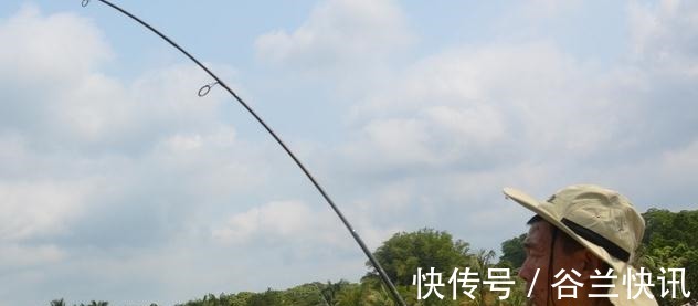 夏季三伏天钓鱼怎么钓钓鱼高手给你支个招,提高中鱼率!