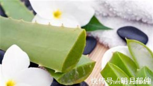 不管你养不养花,3种花,总要养1盆,能缓解疲劳,还能杀病菌