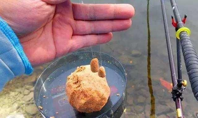 钓鱼鲫鱼都分布在哪里,有什么需要注意的地方吗