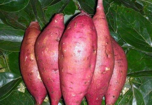 8種最好的膠原蛋白，再貴女人也要舍得吃，淡化皺紋，營(yíng)養(yǎng)又瘦身