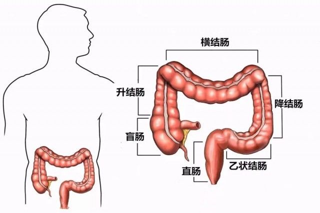 肝癌|癌症也有“小性格”！摸透它的脾气识别早期征兆