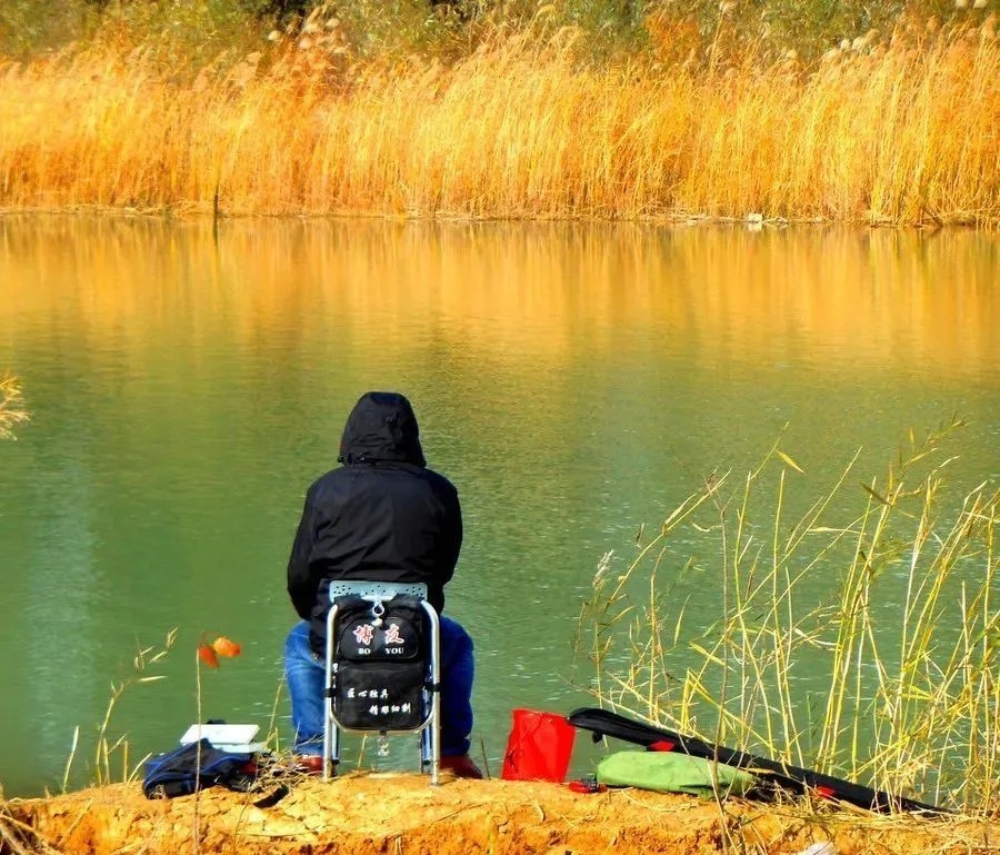 饵料|冬季钓鱼一切从“小”出发,那你就对了