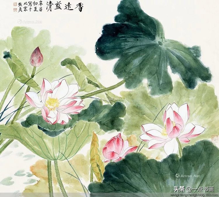 芙蓉#俞致贞 画荷，芙蓉出水，风情无限