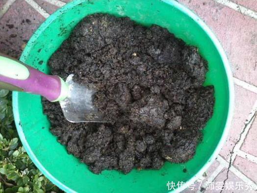 养花还用磷酸二氢钾?2样废料家家有,就是磷钾肥