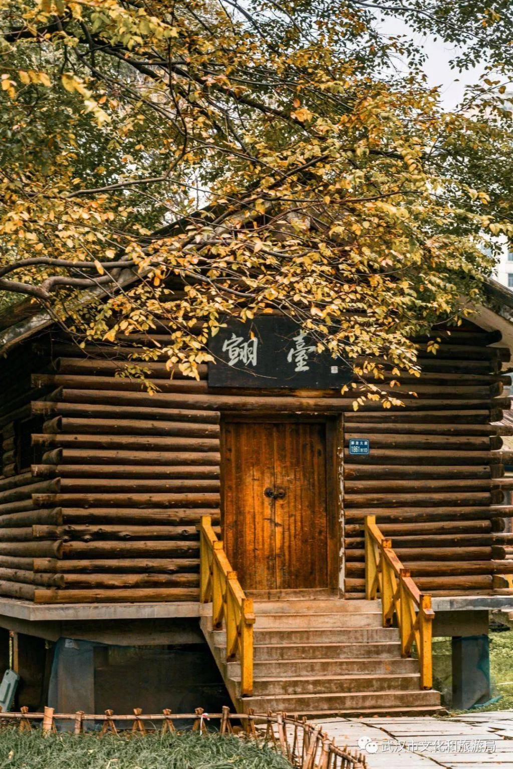 上图片取景|武汉冬景，才不是你想的那样！