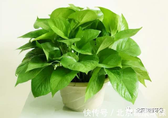 玻璃纤维|装修选择要谨慎,担心甲醛,千万不要选这几种