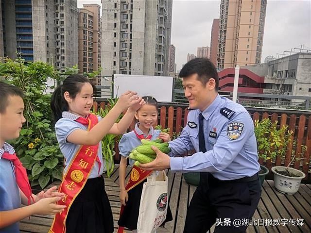 儿童节|知农事 体农情 惜农食“行知小农夫”喜迎丰收的儿童节