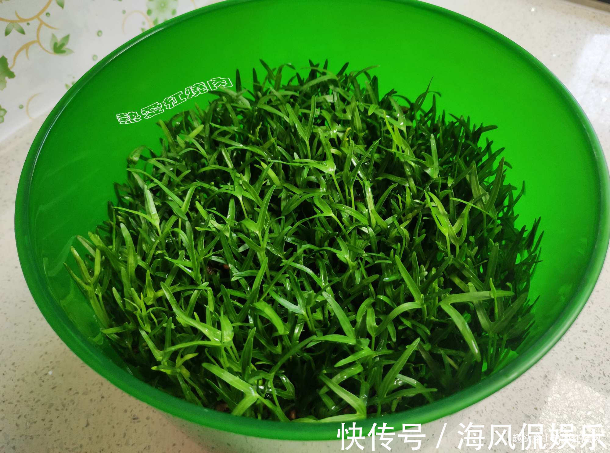 以前空心菜都是买着吃,这回用菜籽自己种的,不用土11天就能吃了