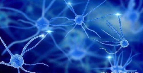 人過六十想長壽，六個習慣需堅持，堅持的越多，壽命越長