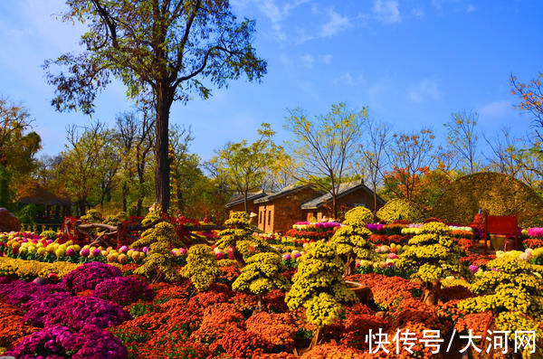 游客|中国开封第39届菊花文化节｜万岁山大宋武侠城景区活动亮点纷呈