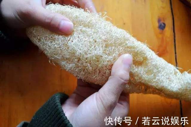 这东西|农村人都拿他当刷碗布,却很少人知道他是个宝