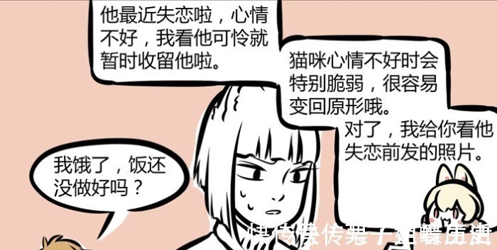 星宿神|非人哉白虎失恋,看到前任照片倒地痛哭,九月端着肉来安慰