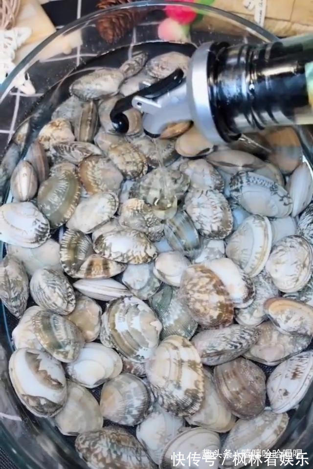 好吃|价廉物美,营养丰富,仅需拌一拌就非常好吃哦!捞汁花甲送给大家
