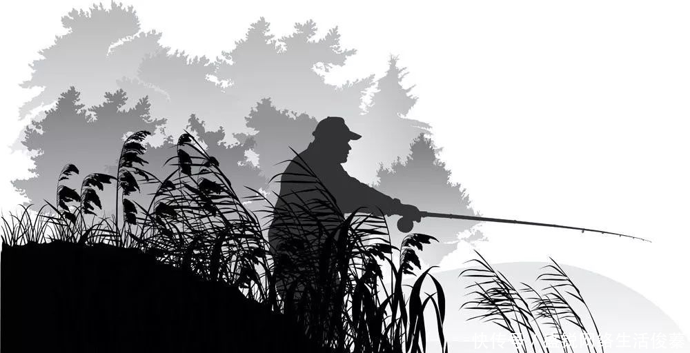 魔镜魔镜|只有钓鱼人,才能体会到的心酸写照!