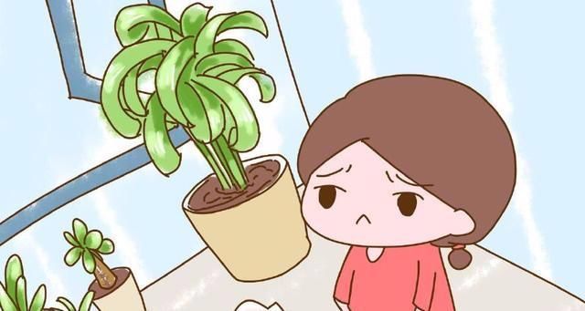 刚装修完的房子，孕妈多久才能入住？很多人都做错了