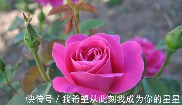 妙计|君子易处小人难防,击垮小人的4大妙计,学会一招小人跪地求饶!