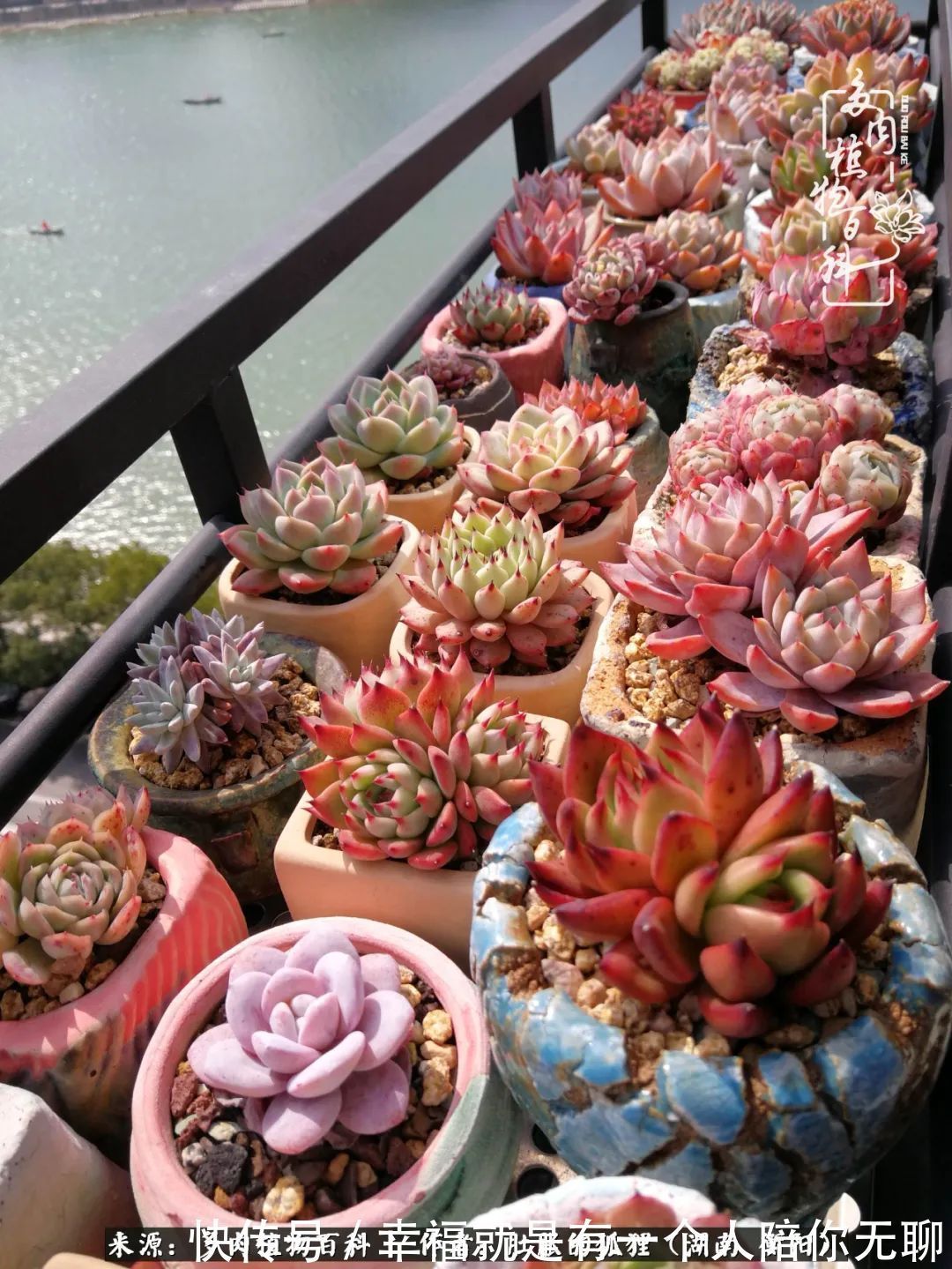 爱这一片缤纷的色彩，因为我们都是好色之徒！