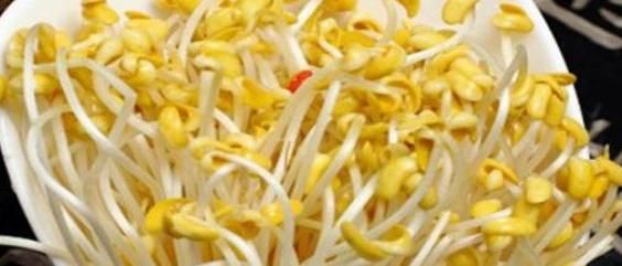  女性要排毒，离不开的食物，排出毒素，滋阴降火，缓解经期腹痛