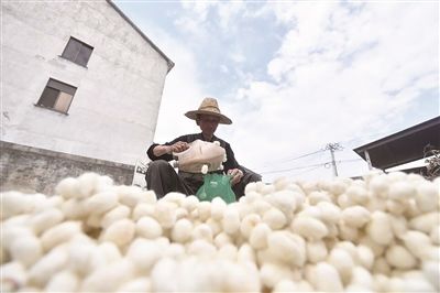 康熙年间|“我想把清水丝绵一直做下去”国家级非遗传承人俞彩根一兜一撑制丝路