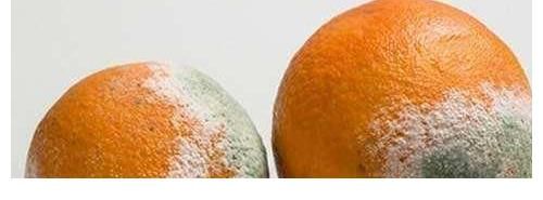 二甲基|为什么现在癌症越来越多？医生提示：50岁后，这3种饮食尽量少碰