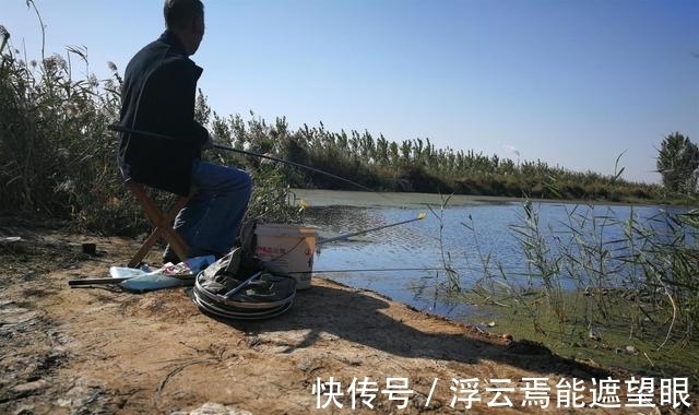 胡子鲶|神仙难钓阴阳天?其实不然,目标和钓法选好一样钓