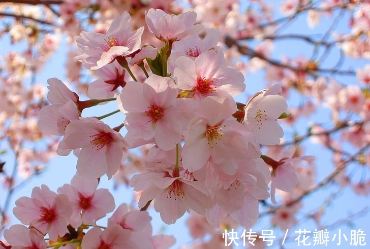 生肖|1月26日起,吉星高照,日子红火,非富即贵的生肖