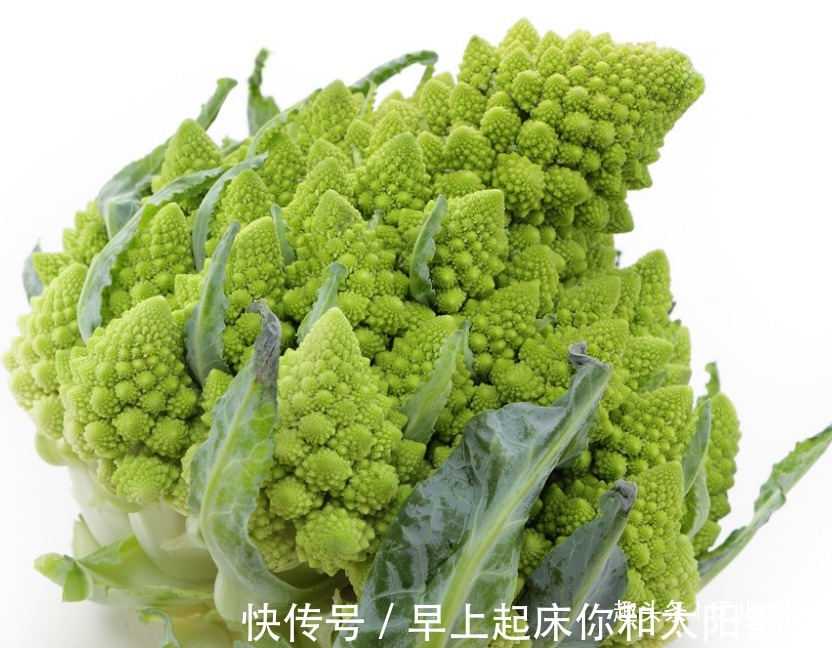 块茎|宝塔花菜脆嫩可口，美容养颜，四招种出绿色美味的宝塔花菜来！
