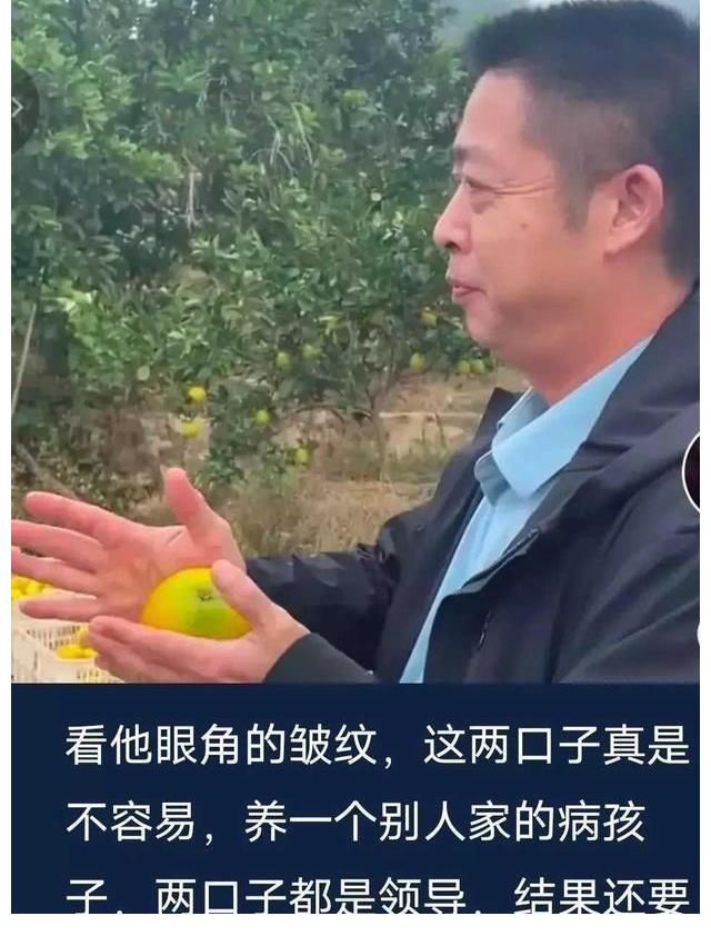 风口|雷军说：站在风口猪都会飞！为何三石却在风口摔了个仰面八叉？