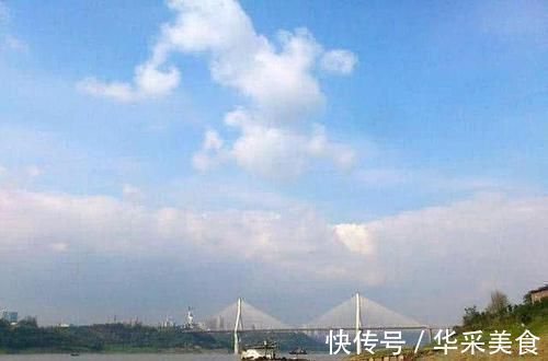 鱼种|长江中渐渐消失的鱼种,浑身棍子肉,俗称“船丁子”