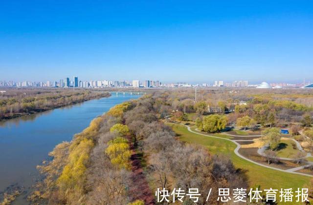 仅两株！消失60年的罕见“莎禾”重现东北，专家：成功采集到