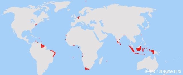 战争|大英帝国为什么在非洲打了一场最昂贵的战争