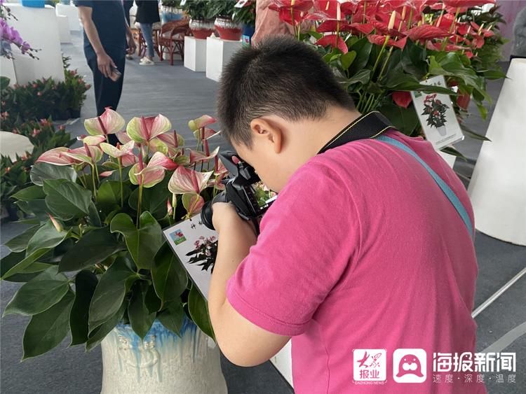 打卡|“十一”假期首日 众多游客打卡花博会