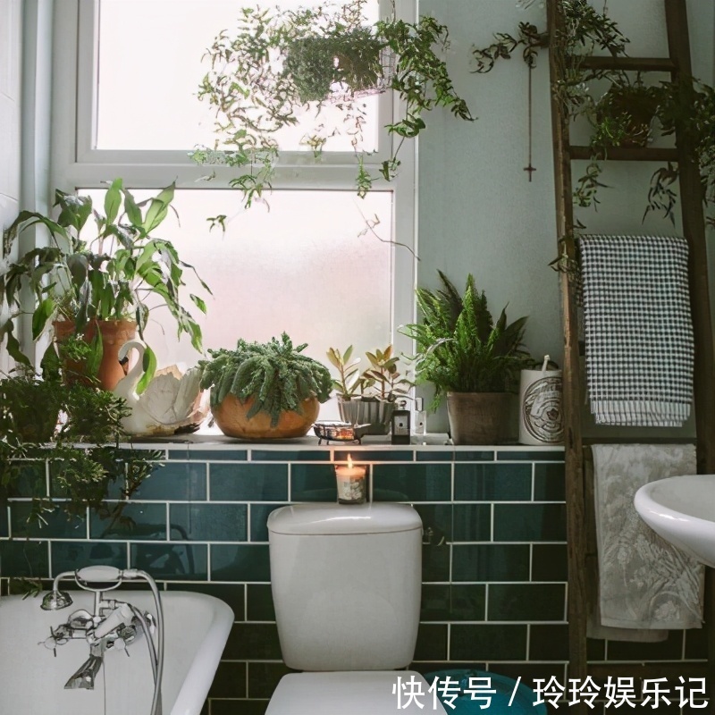 5个位置,不能养花,养一盆死一盆,看看你中招没有