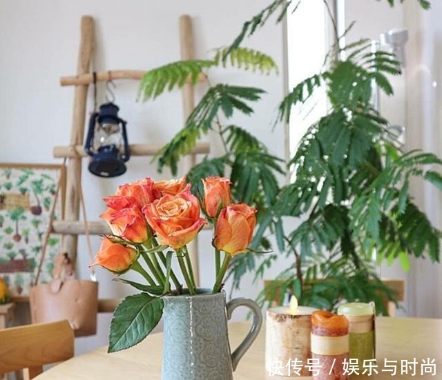 小两口之家,全屋布满绿植鲜花,把生活过成了诗,太美太治愈了!