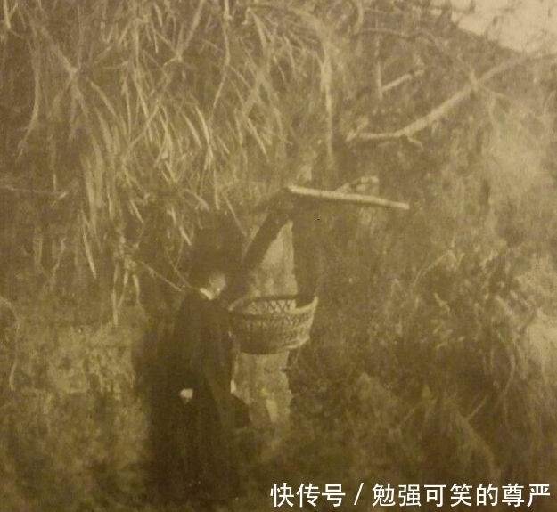 任由|清朝时期的“婴儿塔”，到底有多残忍？任由婴孩自生自灭