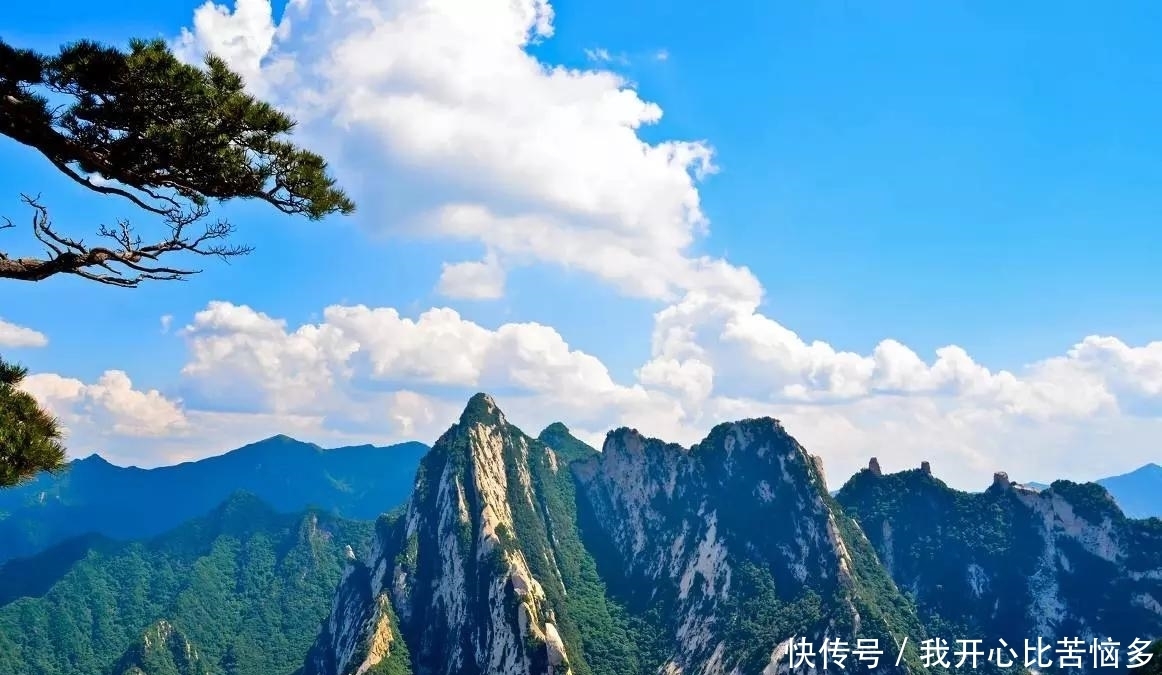 东莞|东莞库存几十万吨,曾一斤被炒至上万,如今“连卖代送”无人问津