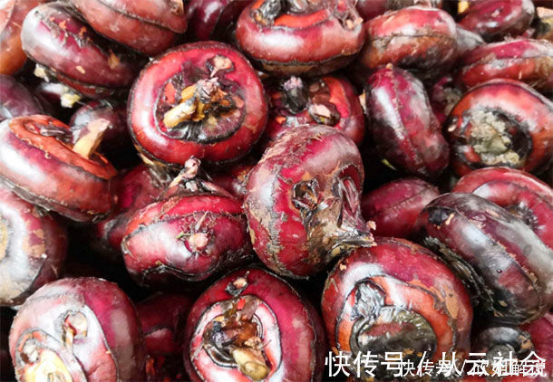 黑名单|专家列出4种“黑名单”食物,比“敌敌畏”还毒,再好吃也要扔掉