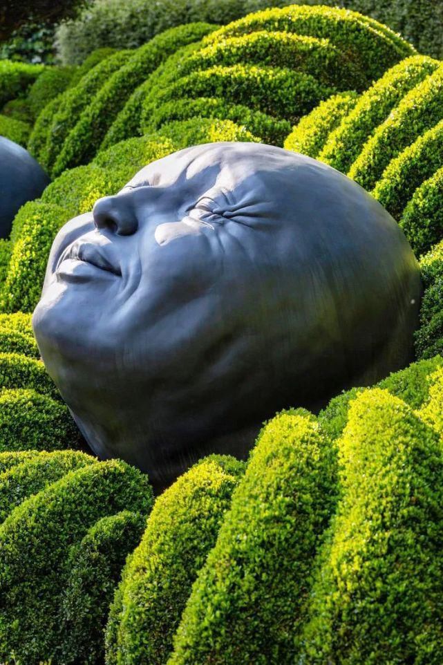 植物“整形”，花样百出