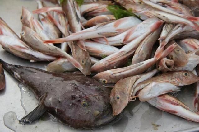 海鲜|含“寄生虫”最多的3种海鲜,没营养还贵,老板自己都不敢吃