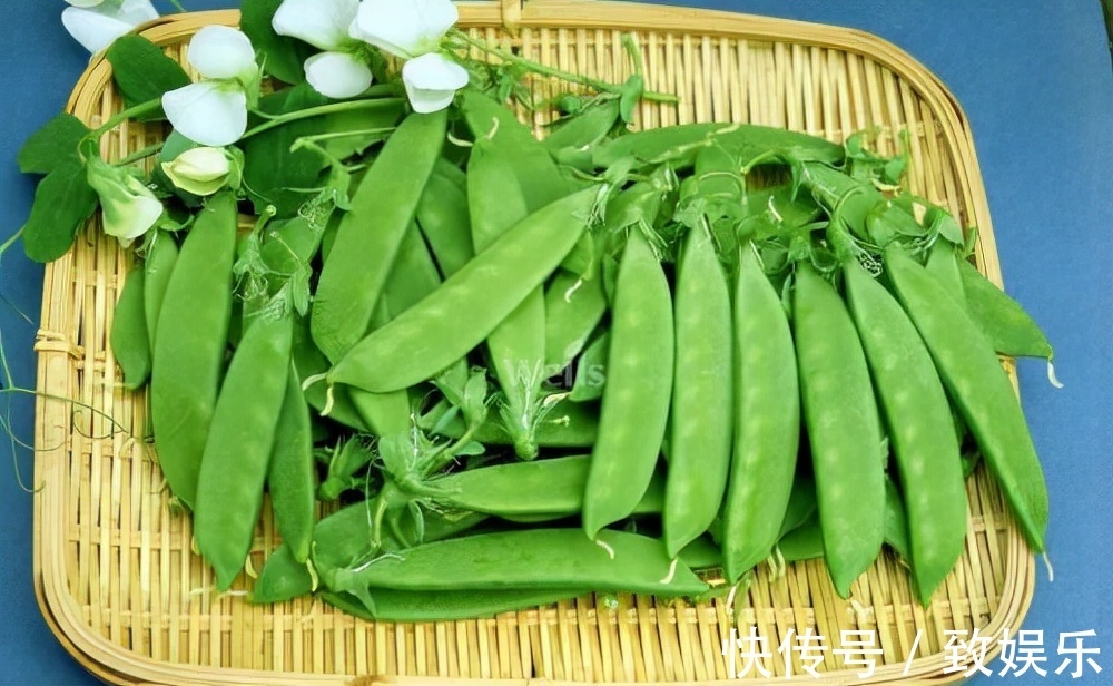 含有|女性再没钱,也要多吃三种食物,养血益气,减少皱纹,早吃早好