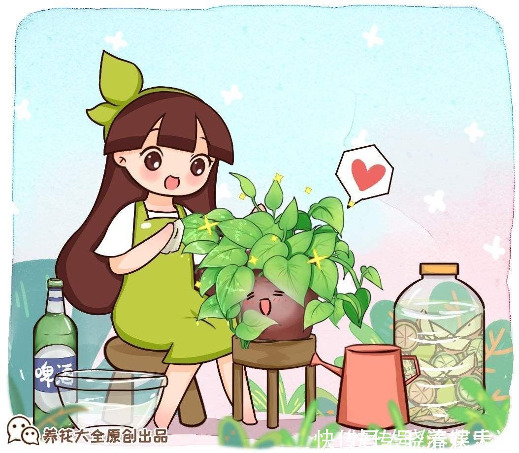 碱性|养花土碱性太大?3个方法轻松解决,养好花不成问题