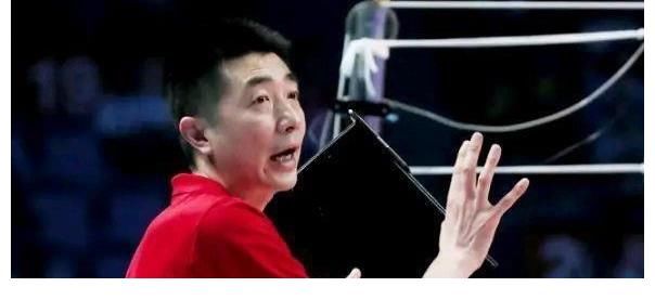 蔡斌|接受現(xiàn)實 順其自然