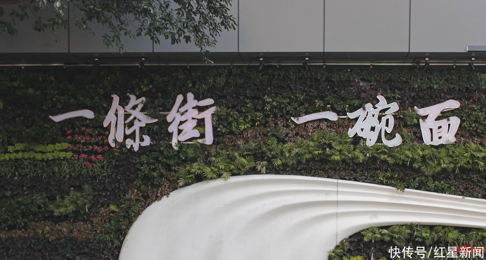 疫情|安全、获得、舒服！公共服务质量满意度全国榜首，背后有成都幸福美好生活密码