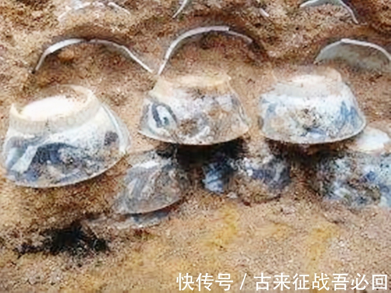 椁室#挖地基发现明朝古墓,全部墓墙都用青花瓷堆成,专家:从没见过